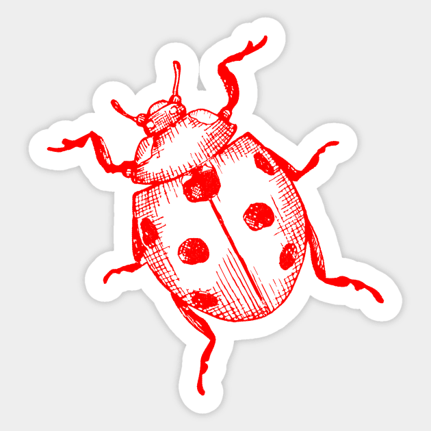 Ladybug Neon Red Insect Black Design Art Sticker by Thor